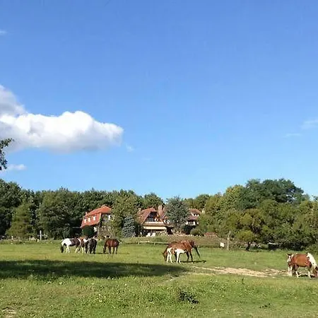 Domaine Du Neufeld Oberhaslach